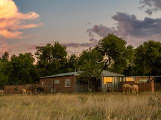 Anna Africa Guest House - Bloemfontein - 8