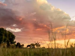 Anna Africa Guest House - Bloemfontein - 2