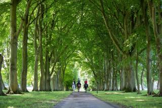 Lucknam Park Hotel - Chippenham - 5