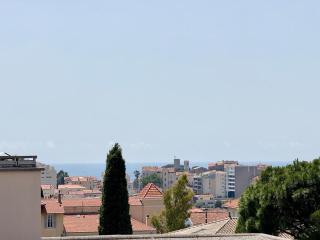 B058 Superbe appartement 2 chambres garage prive - Cannes - 4