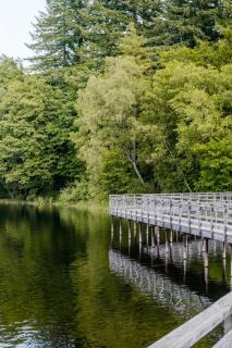 Homnest Morvand'Ailes - Cocon immersif en Morvan - 6