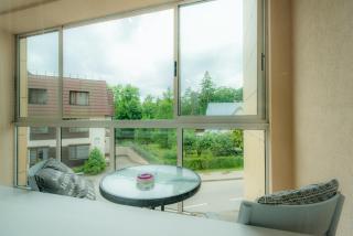 Ice apartment - Druskininkai - 7