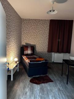 FeWo Vermietung Plauen - Plauen - 2