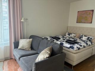 Comfy home, moottorisänky, kuivausrumpu, wifi - Pori - 9