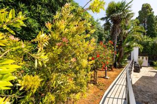 Ibis Lodge With Swimming Pool - Palermo - 1