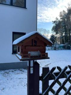 Haus am Walde - Müllrose - 9