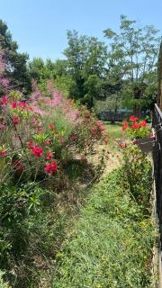 Vacances au cœur de la Provence, en famille ou entre amis - Mirabel-aux-Baronnies - 8