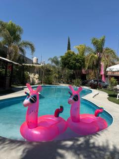 Hotel Pink TH - Tehuacán - 0