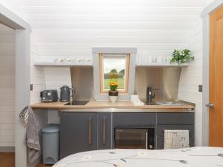 Under Oak Pod - Totnes - 1