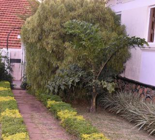 Carmella Exquisite Home WH - Kampala - 5