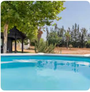 La Cabaña de Doñana - El Rocío - 9