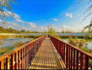 Modern 1BR Near OR Tambo, Wi-Fi, Secure Parking - Boksburg - 1