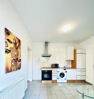 Stylish 2BR Shared Apt, Sleeps 6 Direct City Access - Wenen - 5