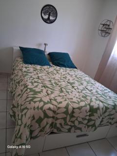 Appartement plain-pied - Piolenc - 5