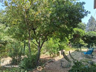 Appartement plain-pied - Piolenc - 7