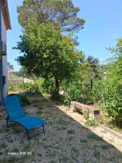 Appartement plain-pied - Piolenc - 9