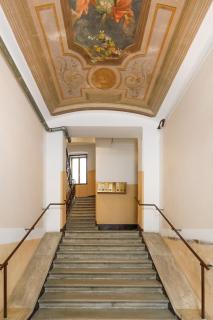 Charming apartment-New-Center - Trieste - 6
