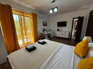 Muller Residence - Timişoara - 2
