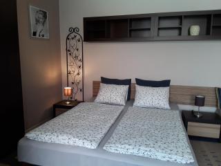 Góry Sowie - Apartament na parterze z parkingiem - Peterswaldau - 1