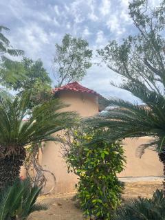 Mati by Jain Farms - Sohna - 4