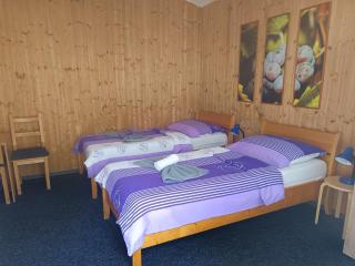 Pension Archa Mikulov - Mikulov - 7