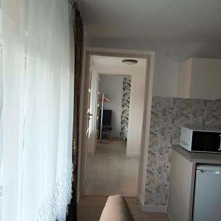 Apartament Palmowy - Rytro - 8