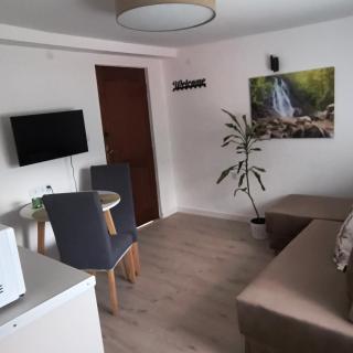 Apartament Palmowy - Rytro - 6