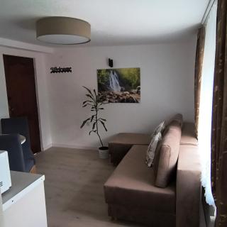 Apartament Palmowy - Rytro - 2