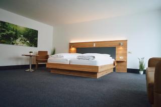 Hotel Hirt - Deißlingen - 0