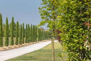 Cascina Borghetta - Sirmione - 7