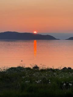 Grannen - - 1