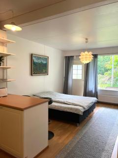 Nuutajärvi yksiö - Nuutajärvi - 8
