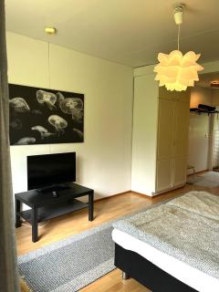 Nuutajärvi yksiö - Nuutajärvi - 7
