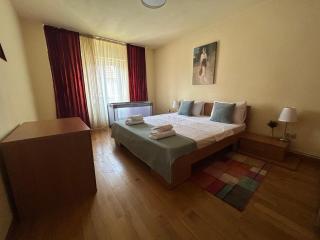 Anna Apartment Timișoara - Timişoara - 3