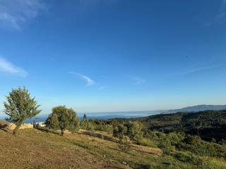 Villa Horizon - 1