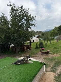 Tulpar Village - Saty - 1