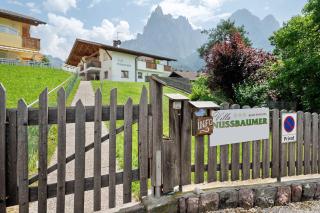 Villa Nussbaumer - Siusi - 5