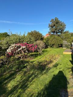 Spacious villa with beautiful garden and terrace - 6