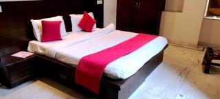 Hotel Terbo Naysa Palace A family Hotel Delhi Airport - Neu-Delhi - 4