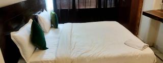Hotel Terbo Naysa Palace A family Hotel Delhi Airport - Neu-Delhi - 2