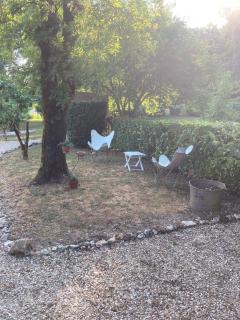 Villa au bord de la Charente - Jarnac - 3