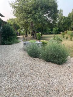 Villa au bord de la Charente - Jarnac - 5