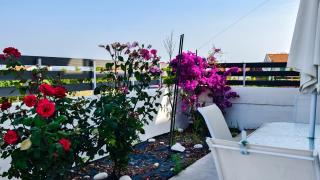 Nikiti Family House - Nikiti - 7