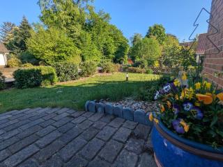 Heideglück, Ferienwohnung - Schneverdingen - 9