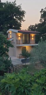 Forest Nest Bartula - Bar - 6