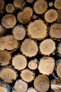 Levendula Resort és Rendezvényközpont - 6