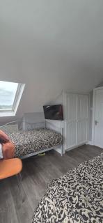 Salmon island view - Dromineer - 5
