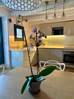 Small house in Provence - 8