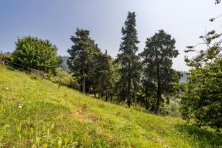 Villa Chelucci - Gualdo - Massarosa - 4