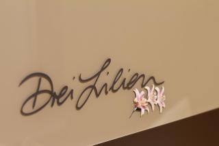 Hotel Drei Lilien - Vohenstrauß - 7